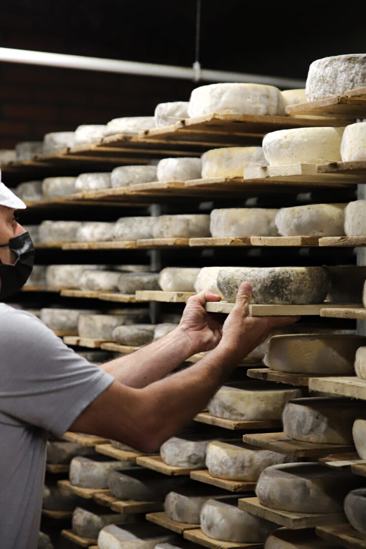 un homme montre la fabrication d'un fromage