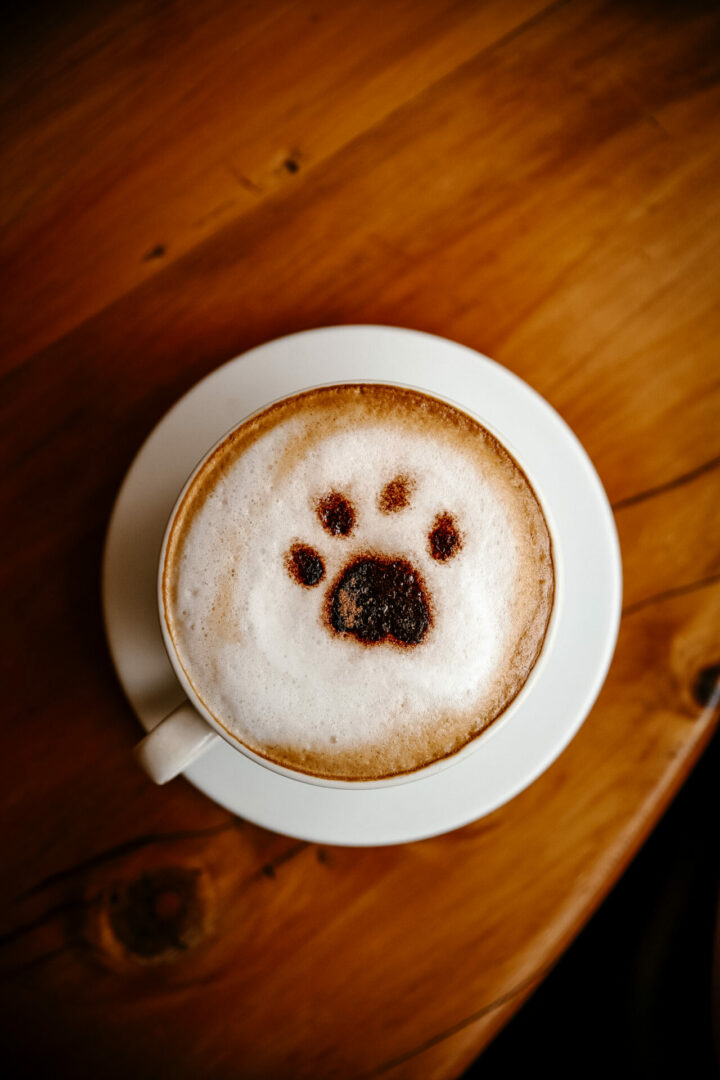 un cappuccino avec une patte de lion Nairobi