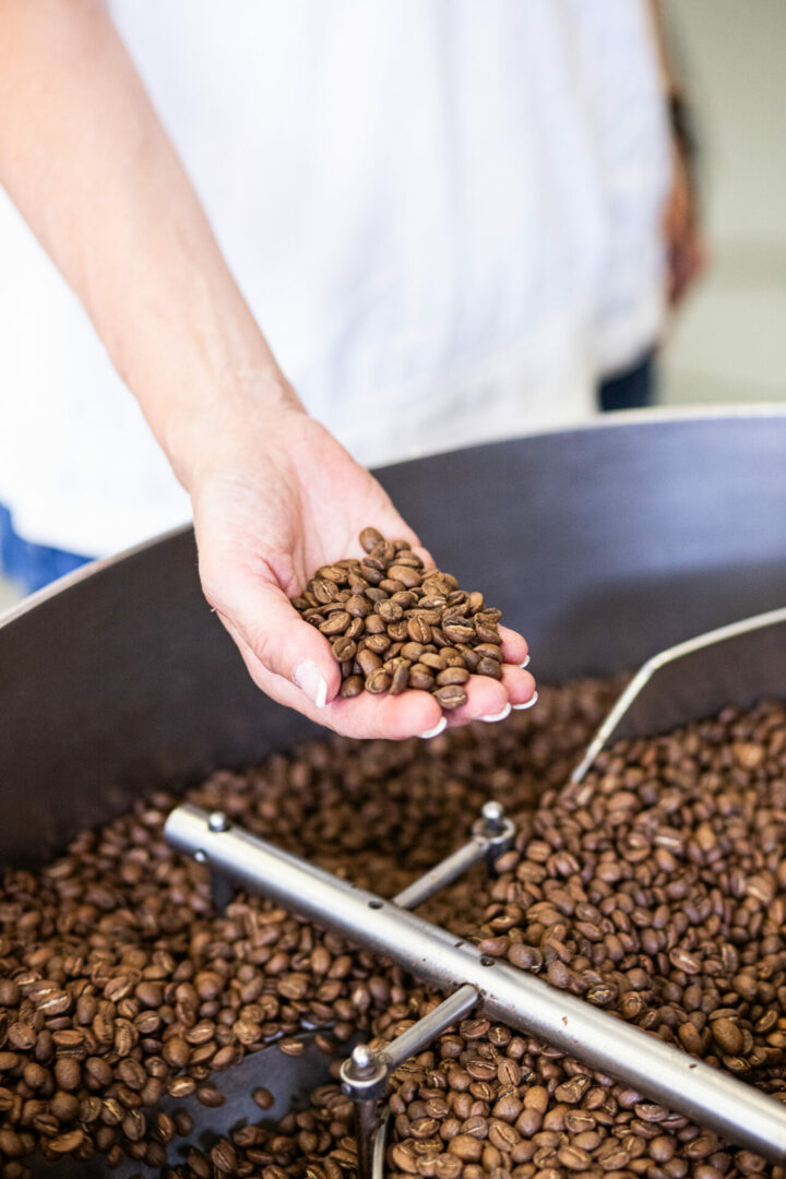 Grain de café en train d'être torréfiés dans une main